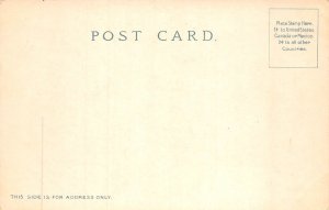 Saratoga New York Race Course, Color Lithograph Vintage Postcard U8537