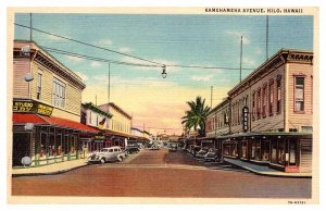 Postcard SHOP SCENE Hilo Hawaii HI AP4145