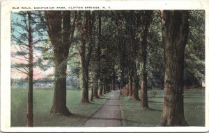 Postcard New York Clifton Springs Elm Walk in Sanitarium Park 1922 V209