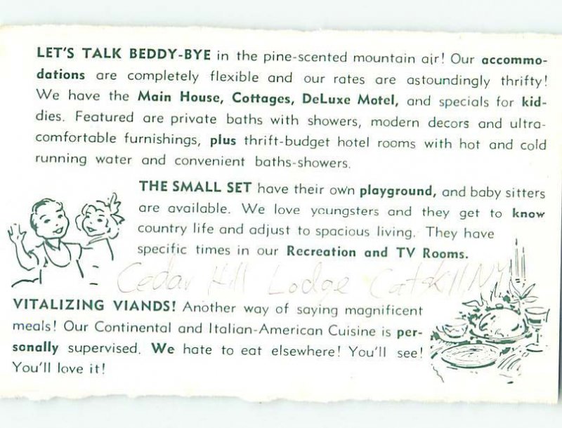 Pre-1980 SHUFFLEBOARD AT CEDAR HILL LODGE MOTEL Catskill New York NY AD9141