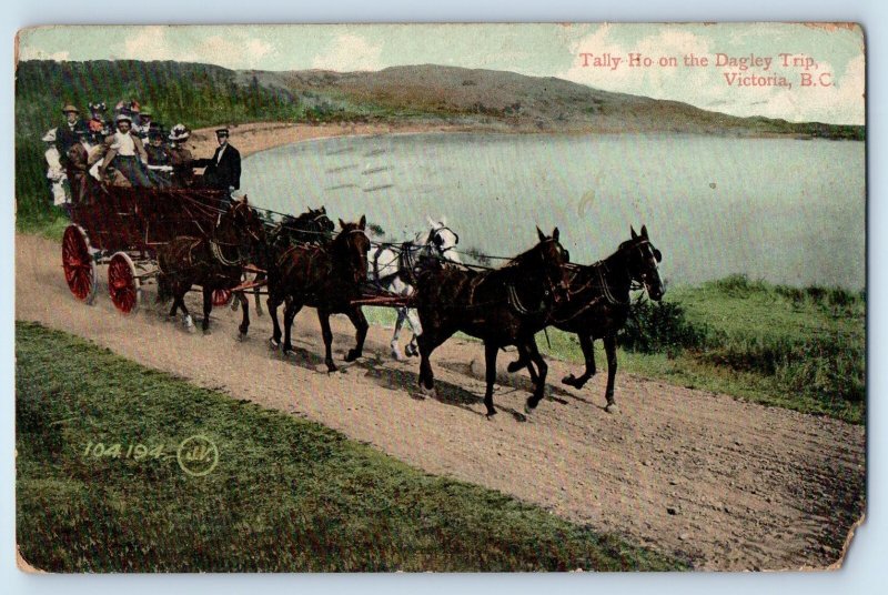 1909 Tally Ho On The Dagley Trip Victoria BC DPO (1889-1919) Murrell PA Postcard