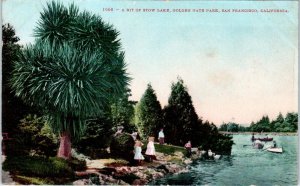 SAN FRANCISCO, CA California   STOW LAKE   GG PARK  c1910s  Mitchell   Postcard