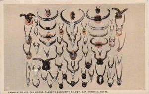 Texas San Antonio Unmounted African Horns At Buckhorn Saloon