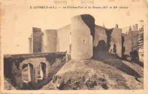 BF4522 le chateau fort et les douves luynes france