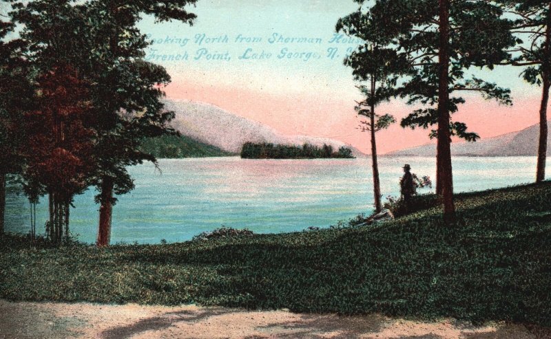 Vintage Postcard Looking North From Sherman Houston French Point Lake George NY