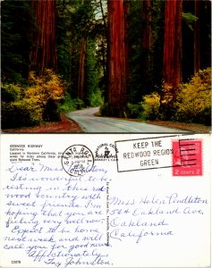 Redwood Highway, Calif. (24938