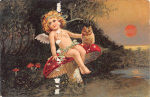 Fantasy 1906 Fairy and Owl on Mushroom Sunset Forest postcard B993