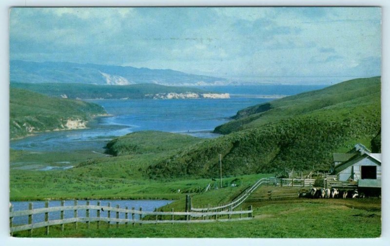 DRAKES ESTERO, Point Reyes National Seashore, CA ~ Marin County 1972   Postcard