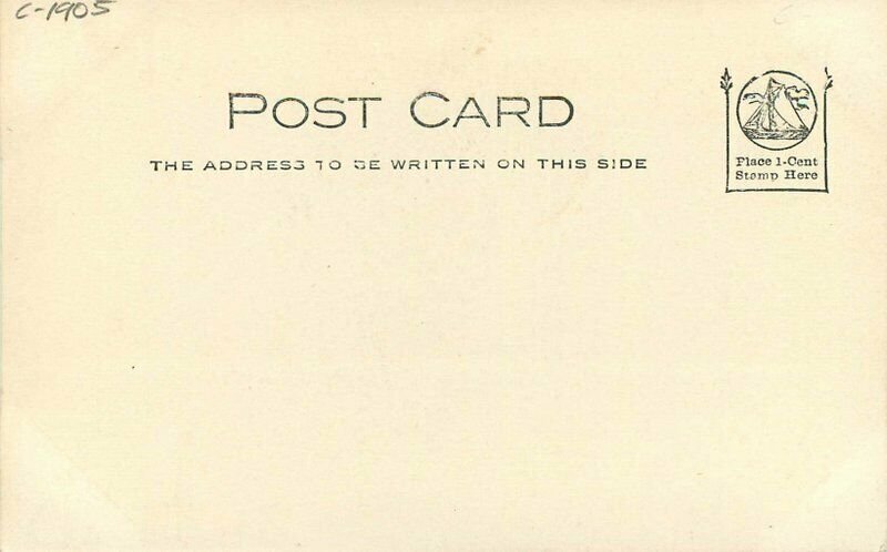 Boone Iowa C-1905 Des Moines River Lodges RPPC Photo Postcard 20-13329