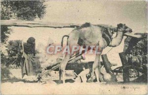 Old Postcard Cairo Camel Sakieh