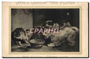 Old Postcard Cats Cat Dog Kitten Cacao Van Houten