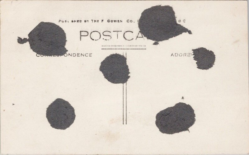 Rocky Mountain Goat near Lillooet BC British Columbia AWA Phair RP Postcard H36