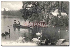 Old Postcard Lyon Tete D Or Park Swan Swan