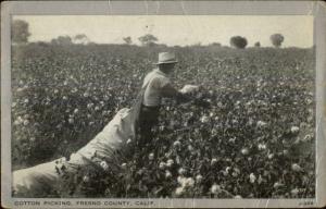 California Farming Agriculture Cotton Picking Fresno County Postcard