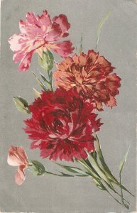 Beautiful carnation flowers Nice old vintage postcard