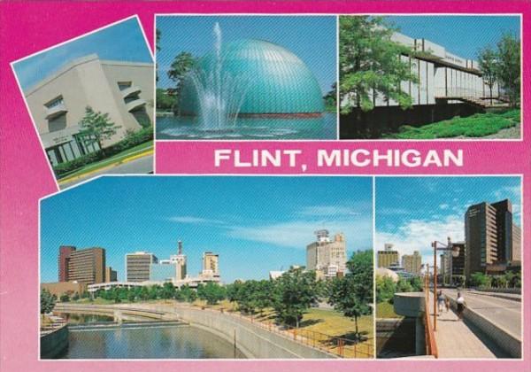 Michigan Flint Multi View