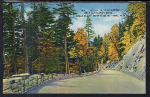 Skyline Drive in Autumn Near Clingman's Dome Great Smokey Mountains