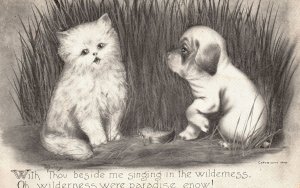 1910 Cute Kitten & Puppy Beside Me Singing in Wilderness Art Vintage Postcard
