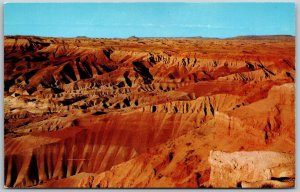 Vtg Arizona AZ Painted Desert Petrified Forest 1950s Scenic View Postcard