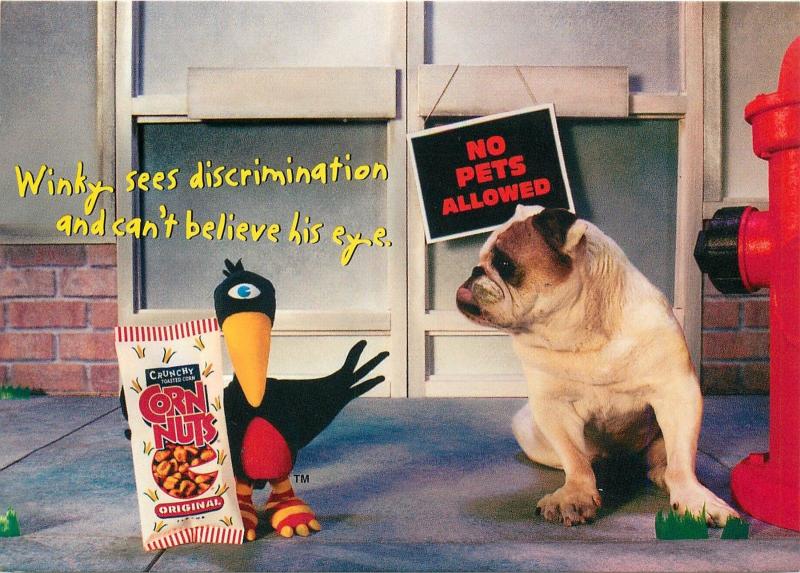 Winky The Crow Show. Corn Nuts Advertising Continental Rack Size Postcard