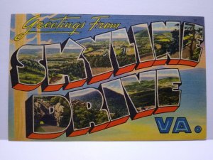 Greetings From SkyLine Drive Virginia Large Big Letter Linen Postcard Unused VA