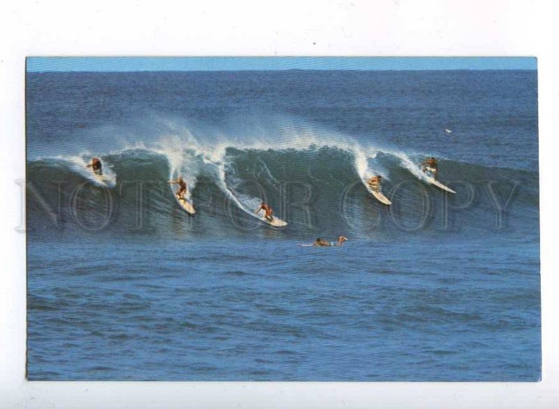 204366 ALOHA from HAWAII surfing old postcard