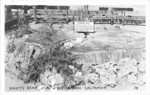 Buena Park California Knotts Berry Farm 1940s Amusement RPPC Postcard 21-10850