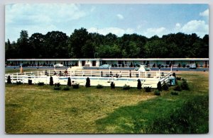 Roadside~Waterford Connecticut~Lamplighter Motel~Pool~Umbrella~1950s Postcard