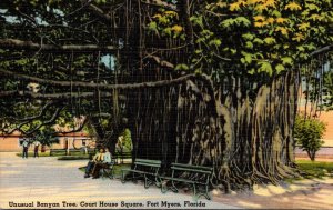 Florida Fort Myers Court House Square Unusual Banyan Tree