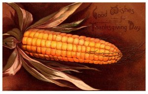 Thanksgiving   Ear of Corn