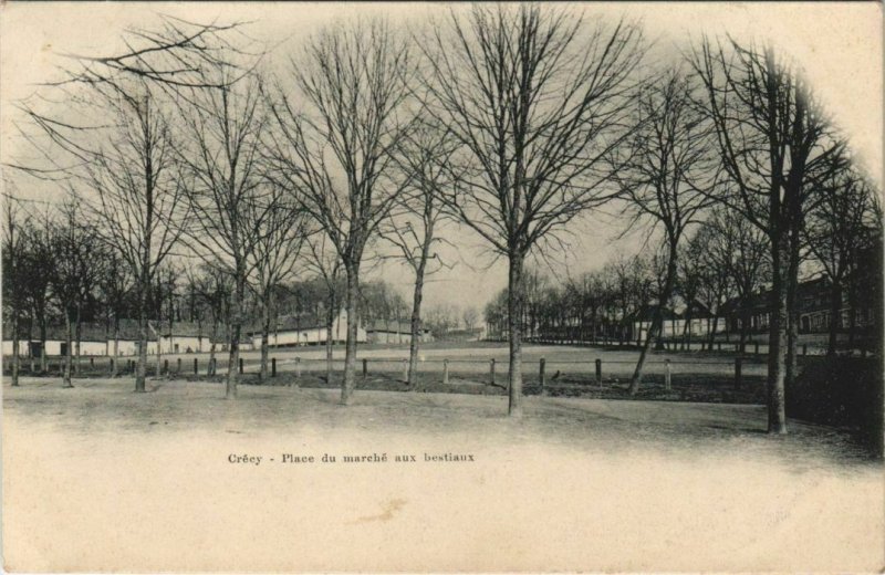 CPA CRÉCY-en-PONTHIEU Place du Marché aux bestiaux (19098)