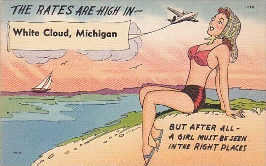 Humour The Rates Are High In White Cloud Michigan