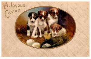 Dog ,  Puppies , Hatchling , Joyous Easter