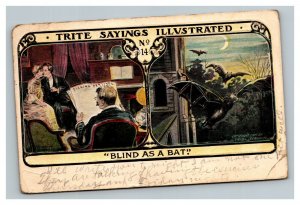 Vintage 1910's Postcard Comic Trite Sayings Illustrated Blind as a Bat