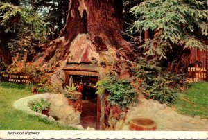 California Redwood Highway The Eternal Tree House At Redcrest