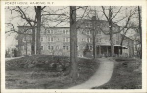 Lake Mahopac NY Forest House Postcard #2