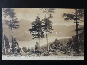 Cumbria HEAD OF ULLSWATER A Peep Through the Firs c1915 by Abraham 561