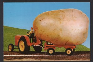 PEI Exaggeration How We Grow'Em Toy Tractor, Wagon and Potato ~ Cont'l