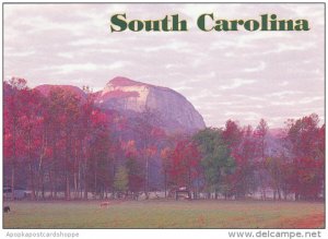 Table Rock from Palmetto Cove South Carolina