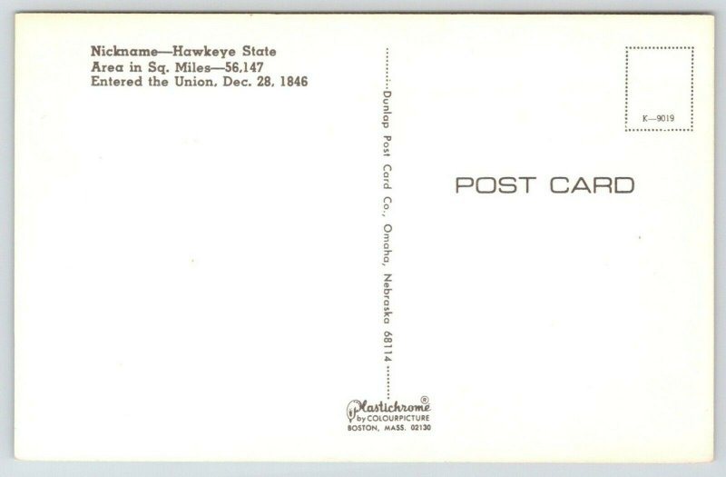 Iowa State Map Postcard~Sheep~Scottish Highlanders~farmer~Corn~Cows~1960s PC