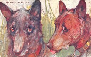 Raphael Tuck Aberdeen Terriers Types Of Canine Beauty Postcard