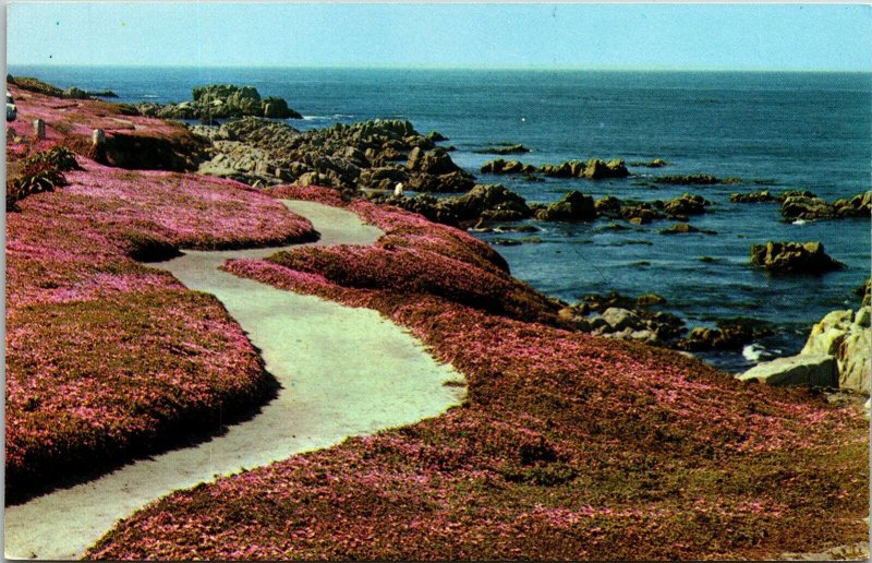 Pacific Coast Line Floral Walkway Postcard Columbia VTG UNP Vintage Unused 