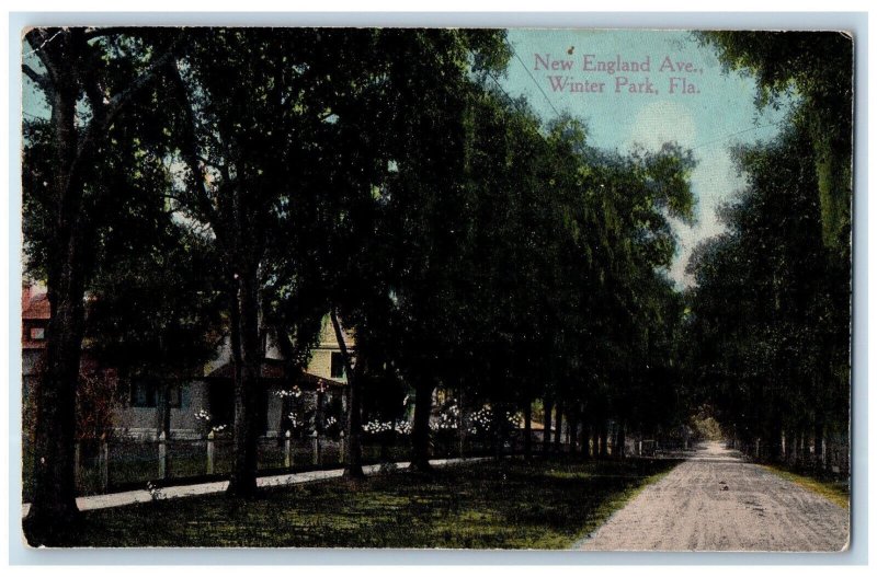 c1910 New England Avenue Winter Park Florida FL Antique Unposted Postcard