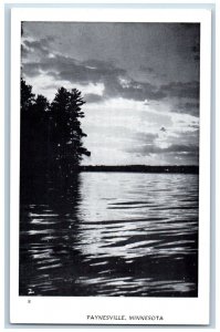 Paynesville Minnesota Postcard Scenic View Lake Trees River 1940 Vintage Antique