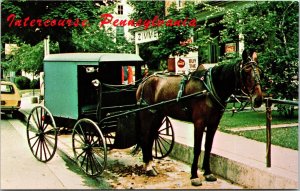 Intercourse Pennsylvania Horse Carriage Amish Hitching Post Chrome Postcard