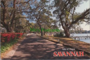 America Postcard - Isle of Hope, Savannah, Georgia  RR15109