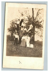 Vintage 1910's RPPC Postcard - Group of Friends Pose in the Trees - Funny