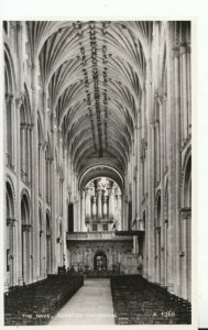 Norfolk Postcard - The Nave - Norwich Cathedral - Real Photograph - Ref 12030A