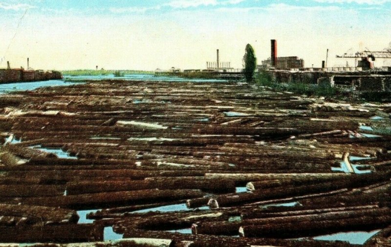 Vintage White Pine Logs at the Mill, Menominee, MI Postcard P169 