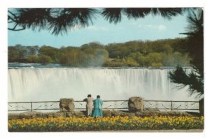 Horseshoe Falls From Victoria Park, Niagara Falls, Vintage Chrome Postcard
